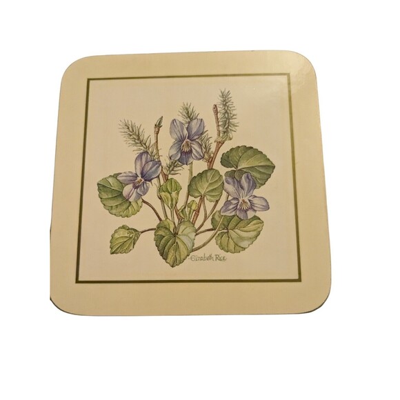 Clover Leaf Melamine Cork Back Botanical Table Mats Boxed Set of 6 - UK VTG MCM - Picture 5 of 16